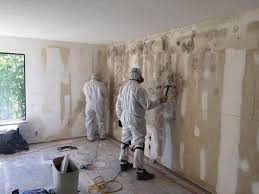 Best Environmental Consulting for Mold Prevention in Cloverdale, VA